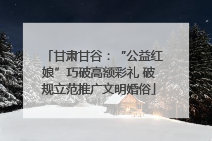 甘肃甘谷：“公益红娘”巧破高额彩礼 破规立范推广文明婚俗