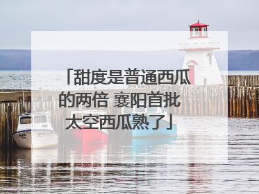 甜度是普通西瓜的两倍 襄阳首批太空西瓜熟了