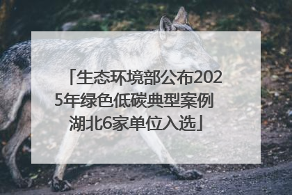 生态环境部公布2025年绿色低碳典型案例 湖北6家单位入选
