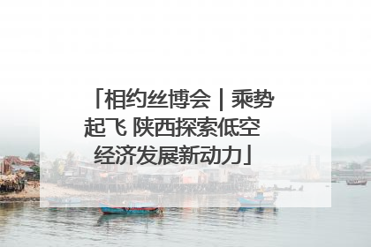 相约丝博会｜乘势起飞 陕西探索低空经济发展新动力