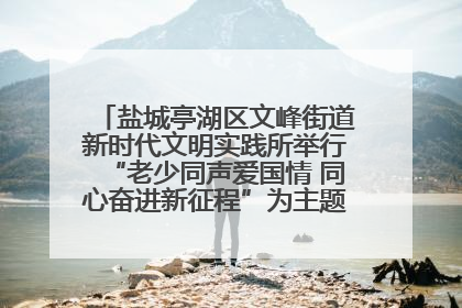盐城亭湖区文峰街道新时代文明实践所举行“老少同声爱国情 同心奋进新征程”为主题的红色文化活动