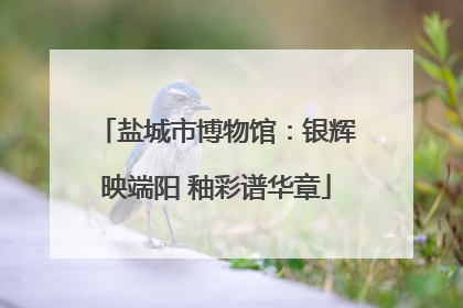 盐城市博物馆：银辉映端阳 釉彩谱华章