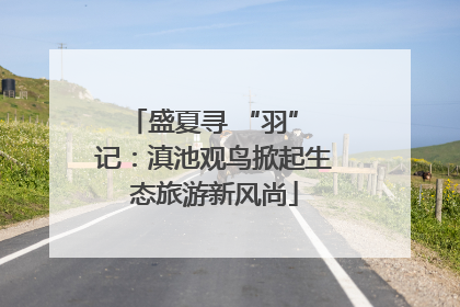 盛夏寻 “羽” 记：滇池观鸟掀起生态旅游新风尚