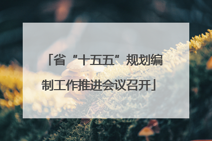 省“十五五”规划编制工作推进会议召开