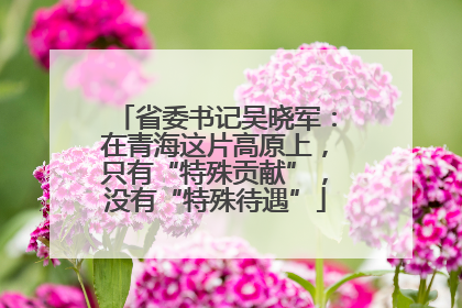 省委书记吴晓军：在青海这片高原上，只有“特殊贡献”，没有“特殊待遇”