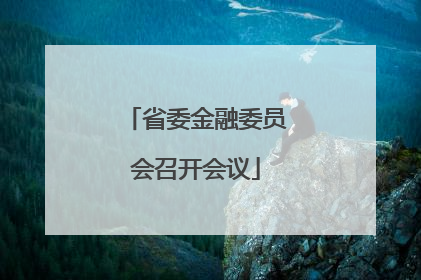 省委金融委员会召开会议