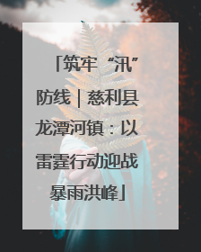 筑牢“汛”防线｜慈利县龙潭河镇：以雷霆行动迎战暴雨洪峰