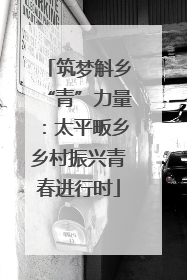 筑梦斛乡“青”力量：太平畈乡乡村振兴青春进行时