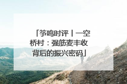 筝鸣时评丨一空桥村：强筋麦丰收背后的振兴密码