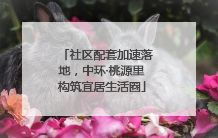 社区配套加速落地，中环·桃源里构筑宜居生活圈