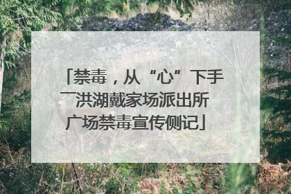 禁毒，从“心”下手――洪湖戴家场派出所广场禁毒宣传侧记