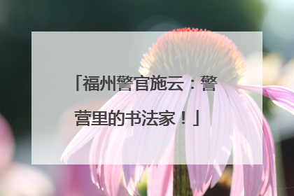 福州警官施云：警营里的书法家！