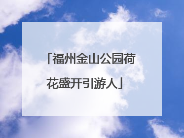 福州金山公园荷花盛开引游人