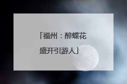 福州：醉蝶花盛开引游人
