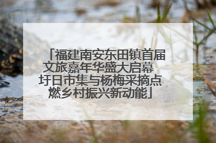 福建南安东田镇首届文旅嘉年华盛大启幕 圩日市集与杨梅采摘点燃乡村振兴新动能