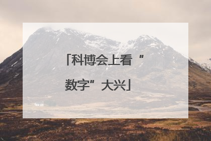 科博会上看“数字”大兴