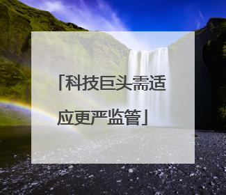 科技巨头需适应更严监管
