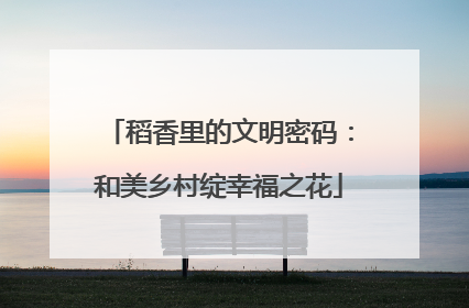 稻香里的文明密码：和美乡村绽幸福之花