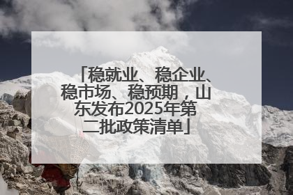 稳就业、稳企业、稳市场、稳预期，山东发布2025年第二批政策清单