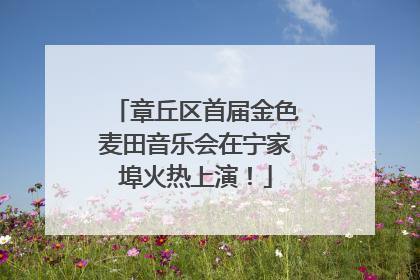章丘区首届金色麦田音乐会在宁家埠火热上演！
