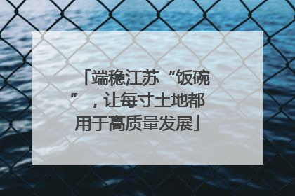 端稳江苏“饭碗”，让每寸土地都用于高质量发展