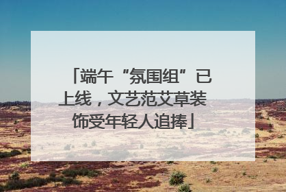 端午“氛围组”已上线，文艺范艾草装饰受年轻人追捧