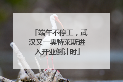端午不停工，武汉又一奥特莱斯进入开业倒计时