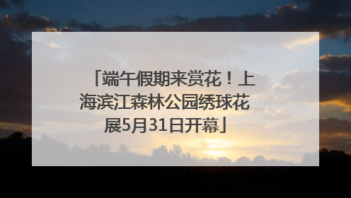 端午假期来赏花！上海滨江森林公园绣球花展5月31日开幕
