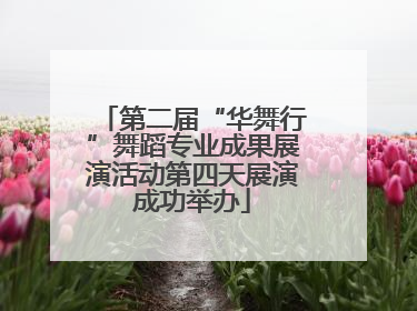 第二届“华舞行”舞蹈专业成果展演活动第四天展演成功举办