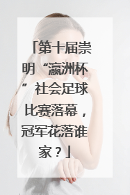 第十届崇明“瀛洲杯”社会足球比赛落幕，冠军花落谁家？