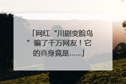 网红“川剧变脸鸟”骗了千万网友！它的真身竟是……