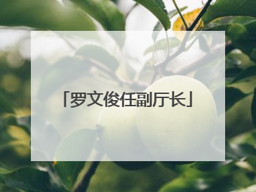 罗文俊任副厅长
