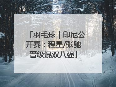 羽毛球｜印尼公开赛：程星/张驰晋级混双八强