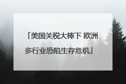 美国关税大棒下 欧洲多行业恐陷生存危机