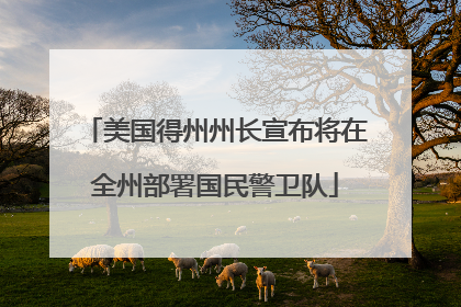 美国得州州长宣布将在全州部署国民警卫队