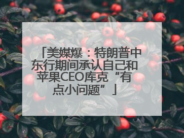 美媒爆：特朗普中东行期间承认自己和苹果CEO库克“有点小问题”