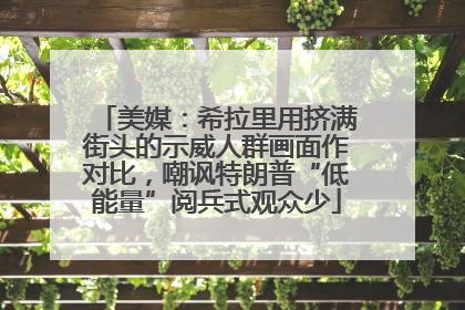美媒：希拉里用挤满街头的示威人群画面作对比，嘲讽特朗普“低能量”阅兵式观众少