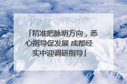 精准把脉明方向，悉心指导促发展 成都经实中迎调研指导