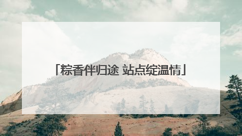 粽香伴归途 站点绽温情