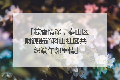 粽香情深，泰山区财源街道科山社区共织端午邻里情