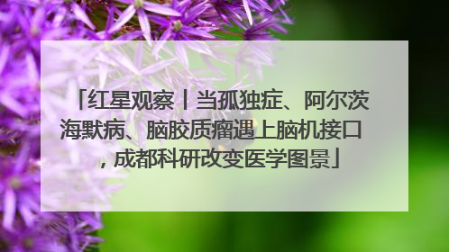 红星观察丨当孤独症、阿尔茨海默病、脑胶质瘤遇上脑机接口，成都科研改变医学图景