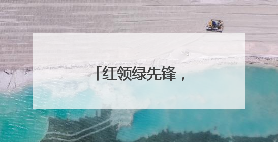 红领绿先锋，低碳伴童行