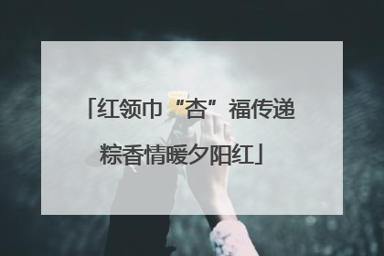 红领巾“杏”福传递 粽香情暖夕阳红