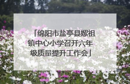 绵阳市盐亭县嫘祖镇中心小学召开六年级质量提升工作会
