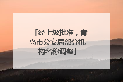 经上级批准，青岛市公安局部分机构名称调整