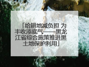 给耕地减负担 为丰收添底气——黑龙江省综合施策推进黑土地保护利用