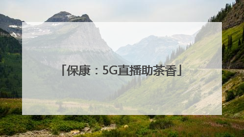 保康：5G直播助茶香