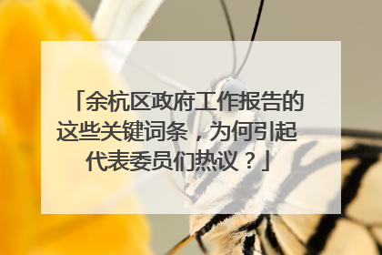 余杭区政府工作报告的这些关键词条，为何引起代表委员们热议？