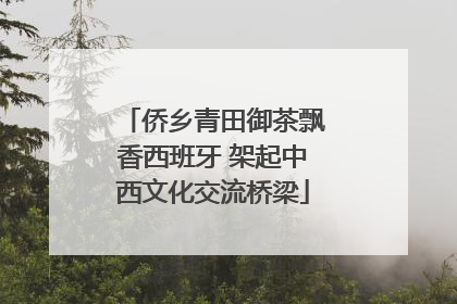 侨乡青田御茶飘香西班牙 架起中西文化交流桥梁