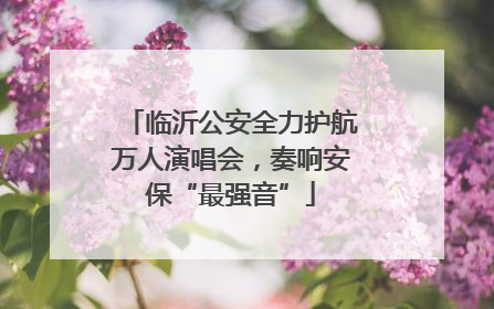 临沂公安全力护航万人演唱会，奏响安保“最强音”